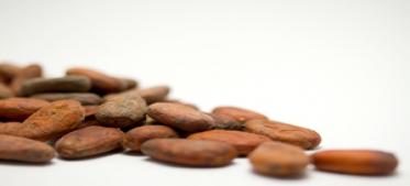 Chocolate: A basic Ecuadorian ingredient